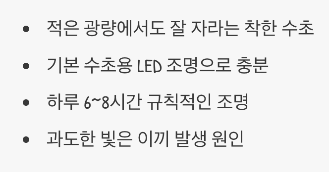 조명&amp;#44; 강하지 않아도 괜찮아요