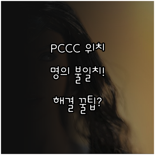 11번가 해외직구 PCCC 입력 위치..
