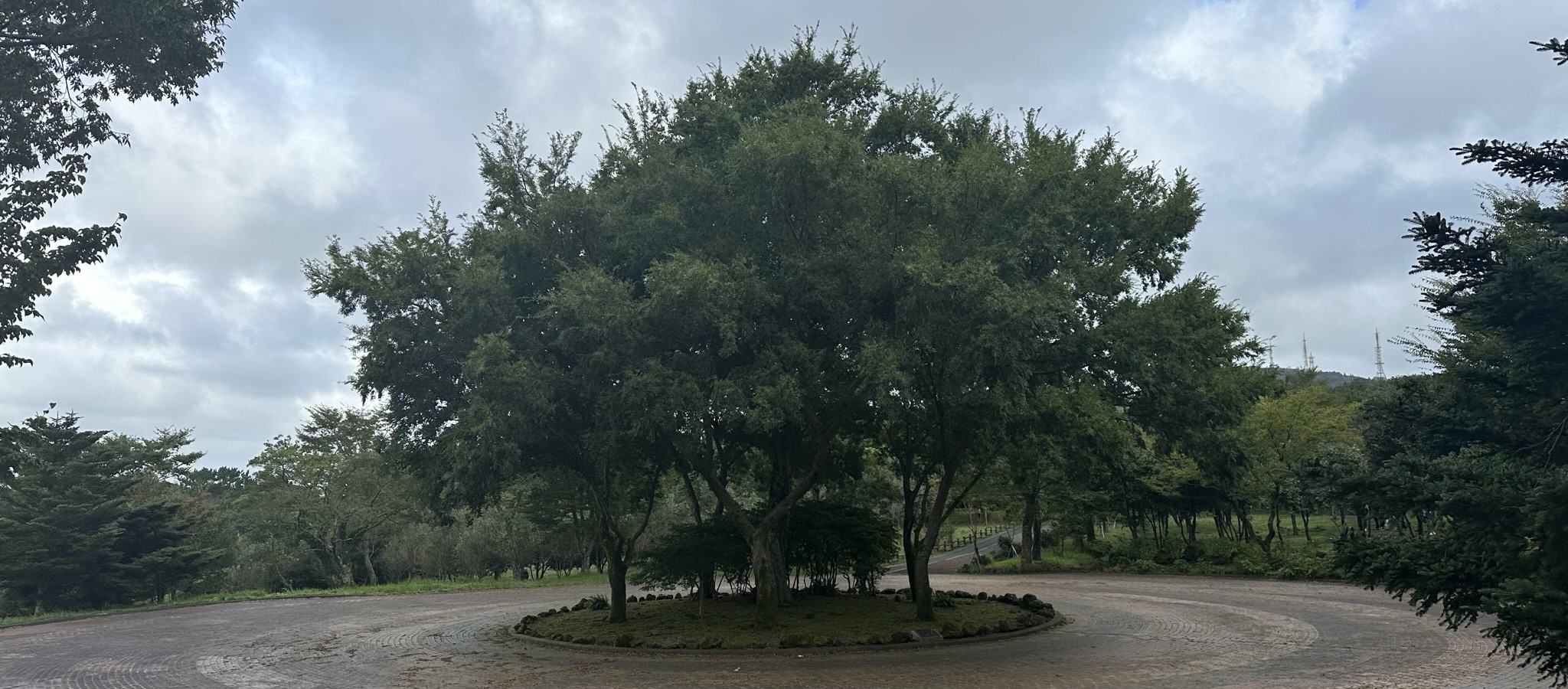 한라생태숲 산책로