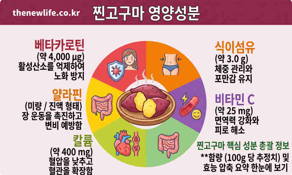찐고구마 효능 영양성분