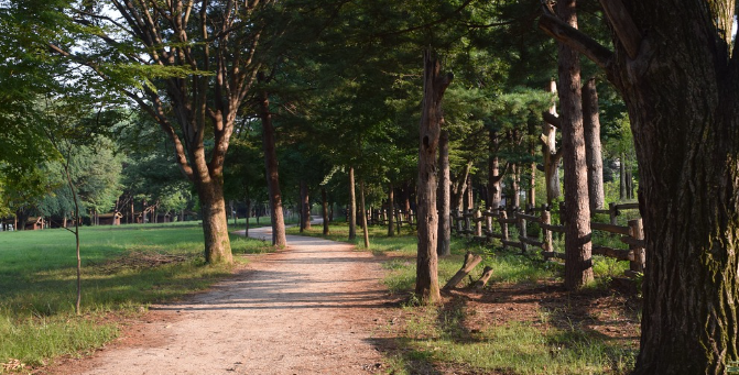 춘천남이섬여행 (주말나들이, 드라이브, 포토존)