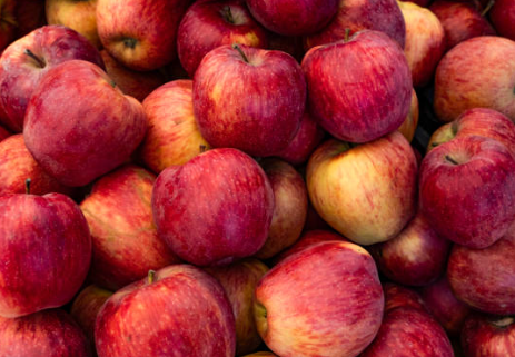 입냄새 제거 사과