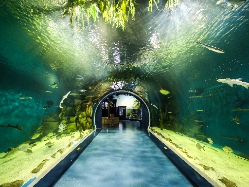 경포 아쿠아리움