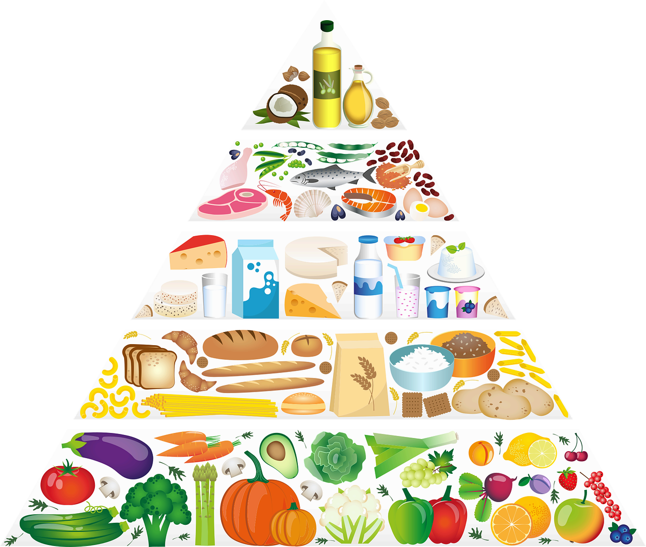 두피 건강과 모근 강화를 위한 필수 영양소 및 추천 음식 총정리