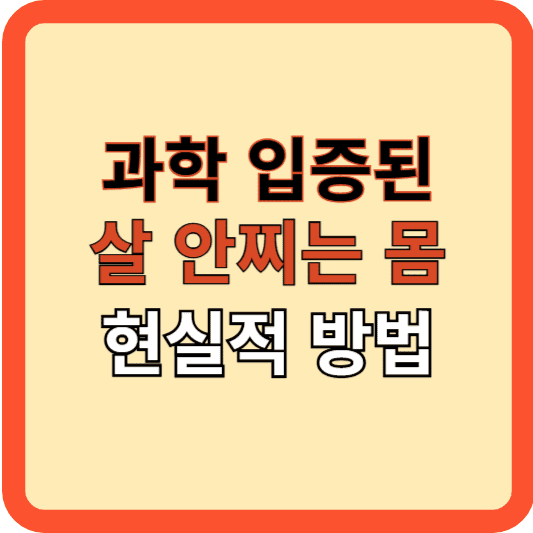 과학으로 입증된 살 안 찌는 몸, 현실적 방법