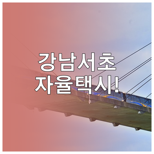 강남구 서초구 자율주행 택시 이용 방..