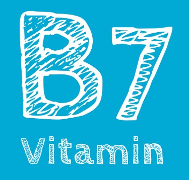 비오틴(비타민 B7) 효능, 부작용, 하루 권장량, 많은 음식