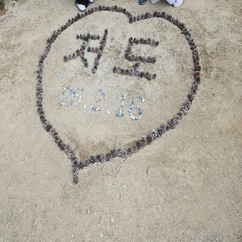 거제 저도 '대통령의 휴양지' 탐방: 2026 재개방 관람 후기