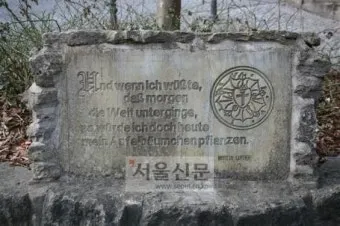 내일 지구의 종말이 올지라도 오늘 나는 한 그루 사과나무를 심는다 명언 해설_2