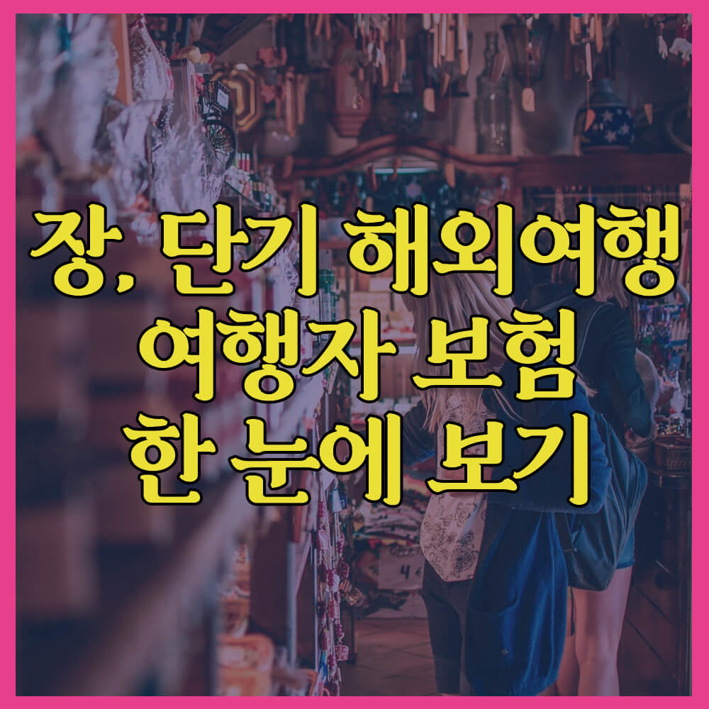 장단기해외여행&#44; 여행자보험&#44; 가격비교&#44; 카카오페이여행자보험&#44; 투어모즈