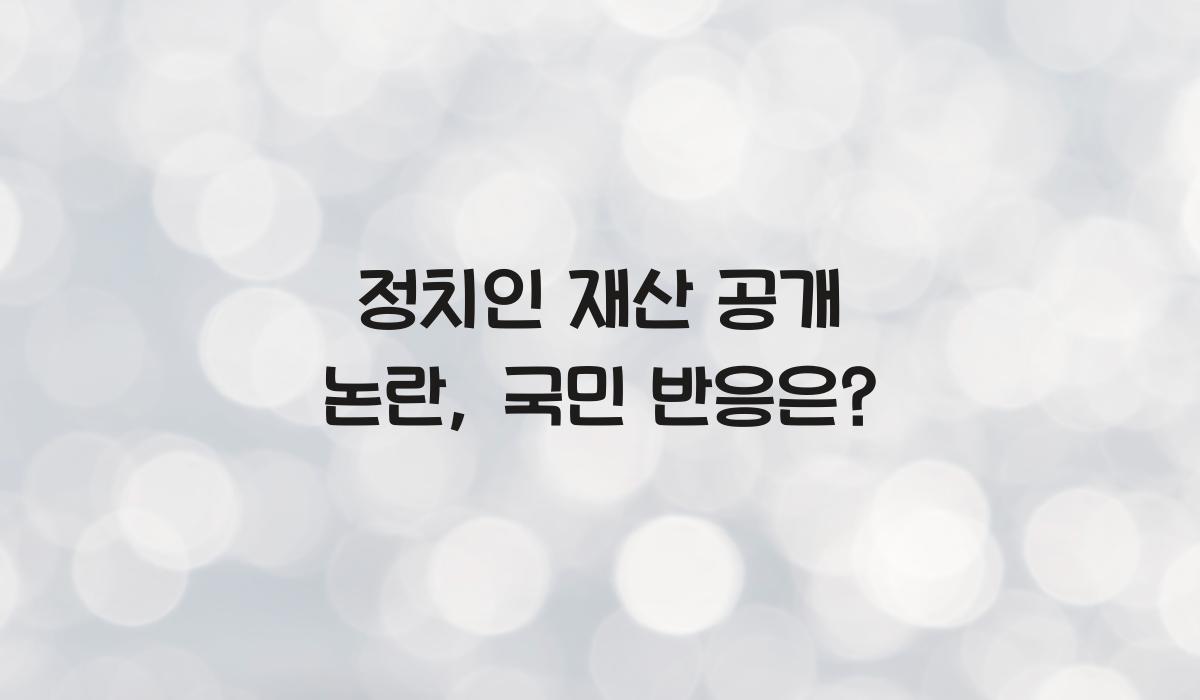 정치인 재산 공개 논란
