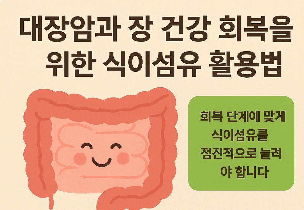 대장암과 장건강 회복을 위한 식이섬유 활용법