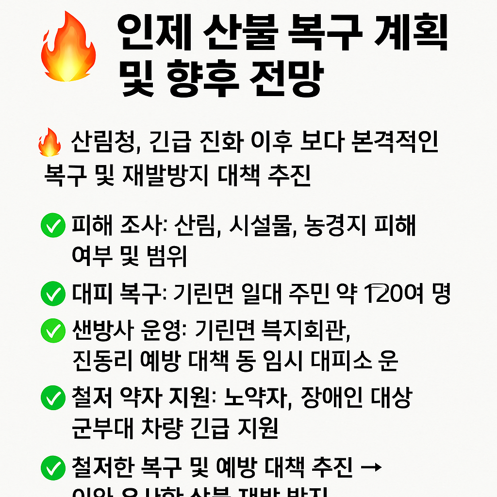 한눈에보는 ⑥ 인제 산불 복구 계획 및 향후 전망 사진