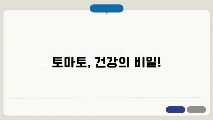 토마토 활용 : 똑똑한 건강식의 일점