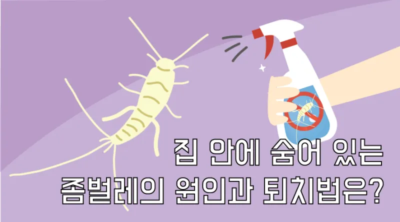 좀벌레 생기는 원인과 퇴치법 하얀벌레 제거 방법_8