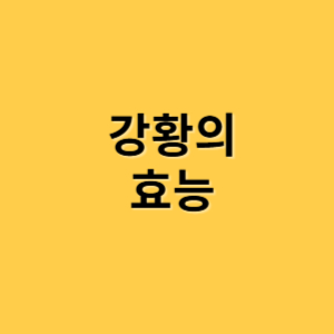 강황의 효능