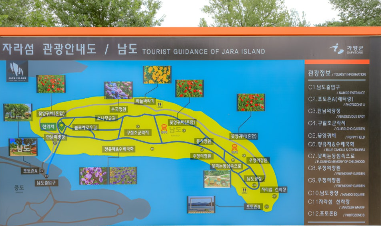 가평 자라섬 꽃 페스타🌸 어디까지 알고 계셨나요?