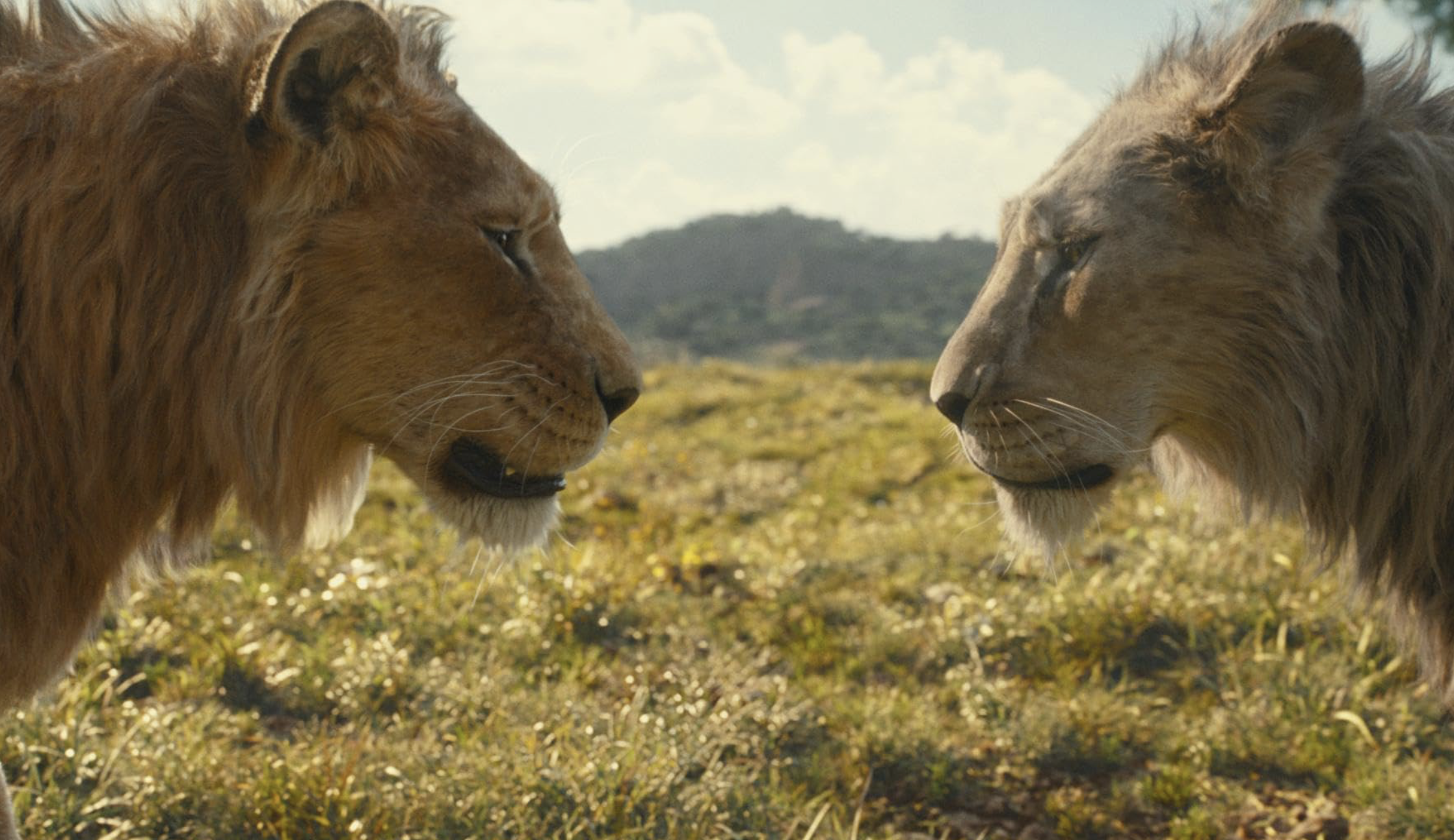 무파사: 라이온 킹 포토