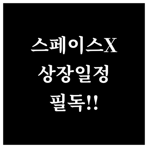 스페이스엑스 상장 전망과 락업 해제 ..