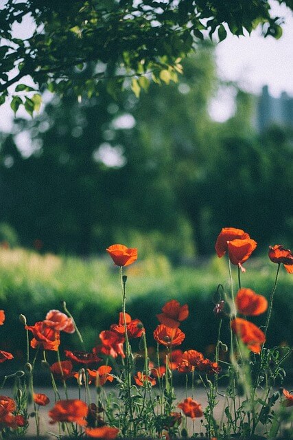 6월 가볼 만한 국내여행지