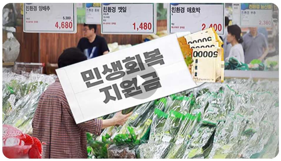 민생회복 소비쿠폰 사용처