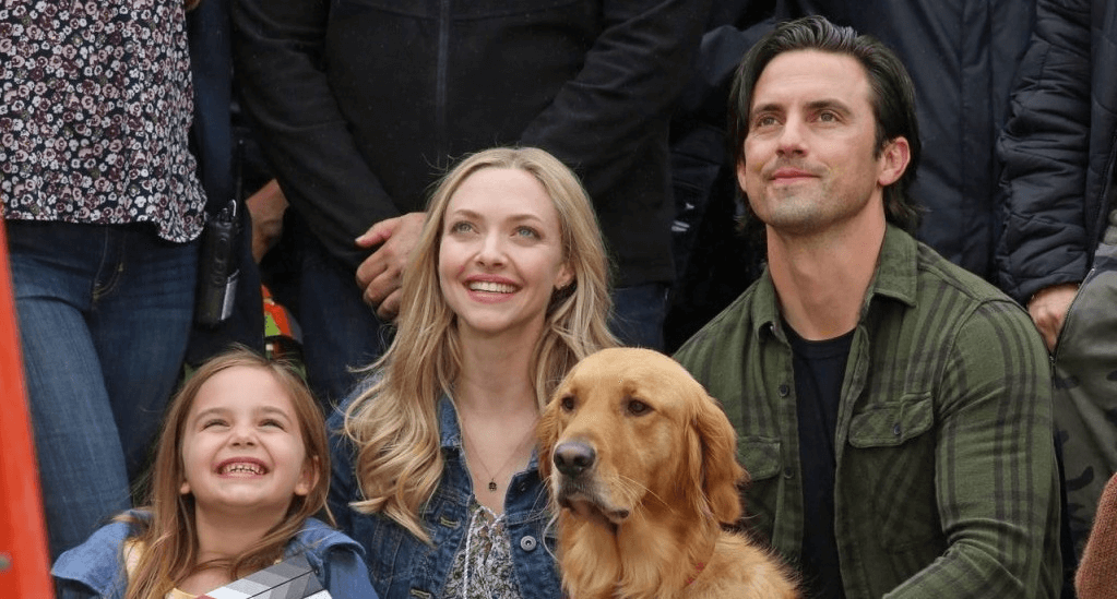 영화 '레이싱 인 더 레인(2019)'