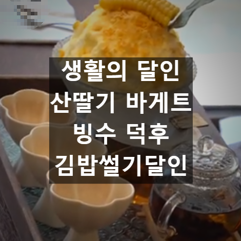 생활의 달인