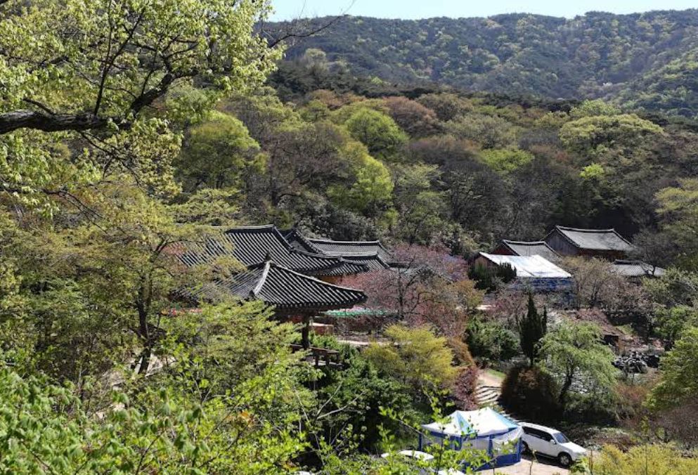 개심사