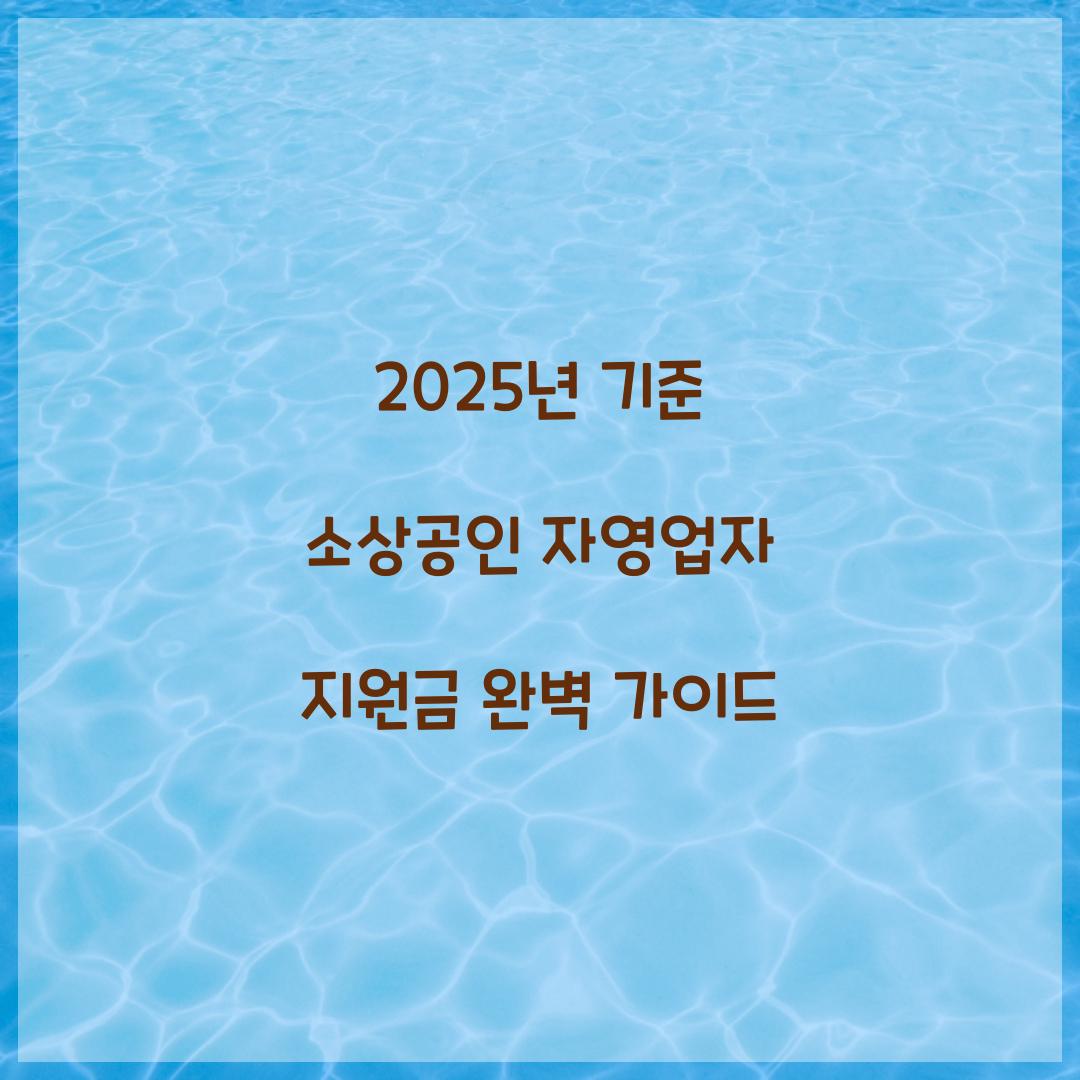 2025년 기준 소상공인 자영업자 지원금