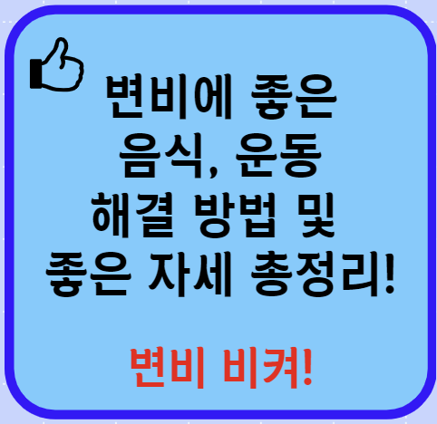 변비에 좋은 음식 해결방법 좋은 운동 등 총정리(24년 Ver)