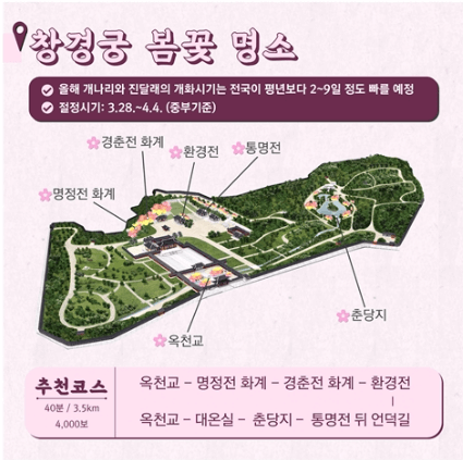 창경궁-봄꽃-명소