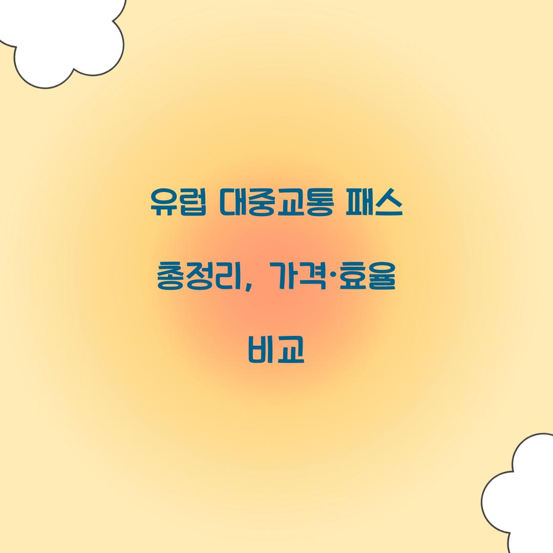대중교통 패스
