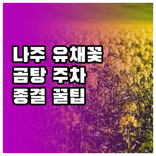 나주 3월 여행 정보 유채꽃 축제와 ..