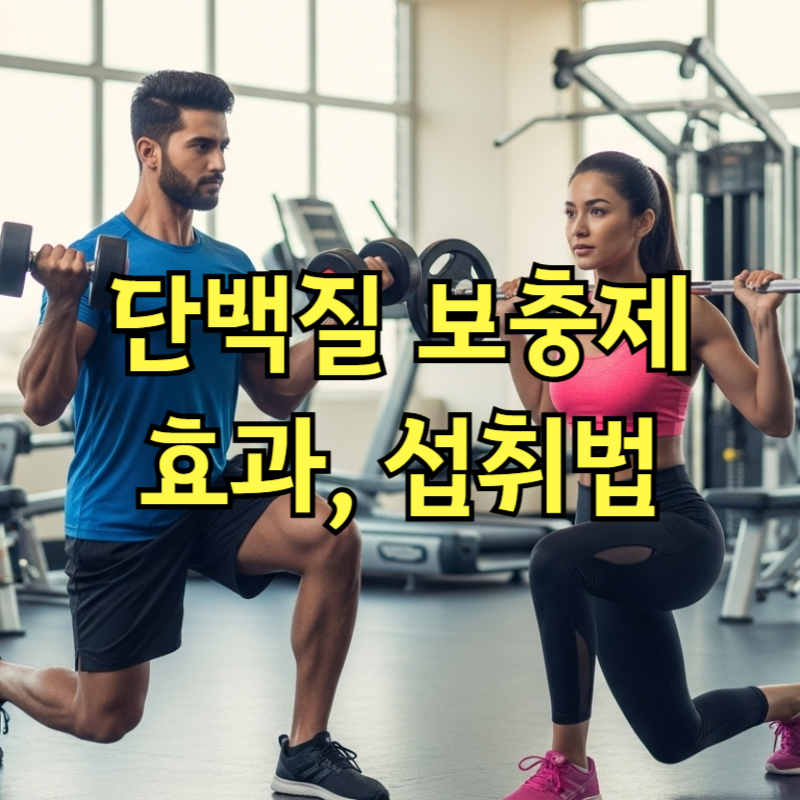 단백질보충제 효과, 제대로 알고 섭취하는 법