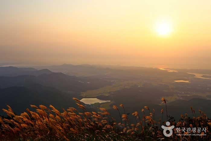 포천 명성산 억새밭 여행 꿀팁