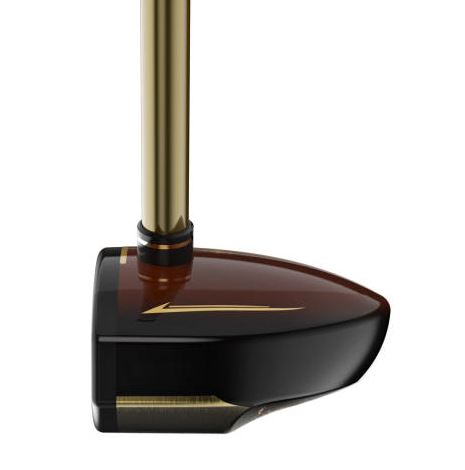 파크골프 지도자 자격증