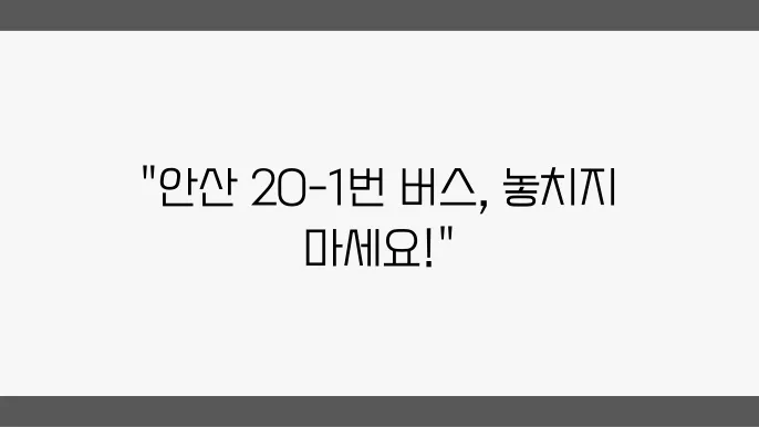 안산 20-1번 버스노선 시간표 및 버슠운행정보 알아보기