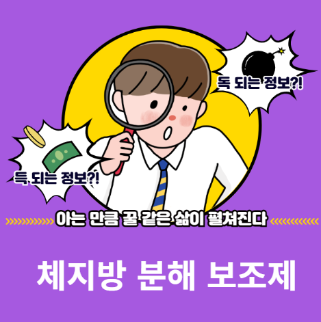 체지방 분해 보조제