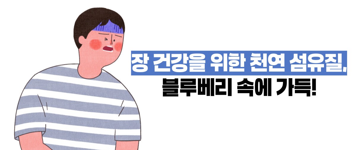 블루베리 효능 부작용