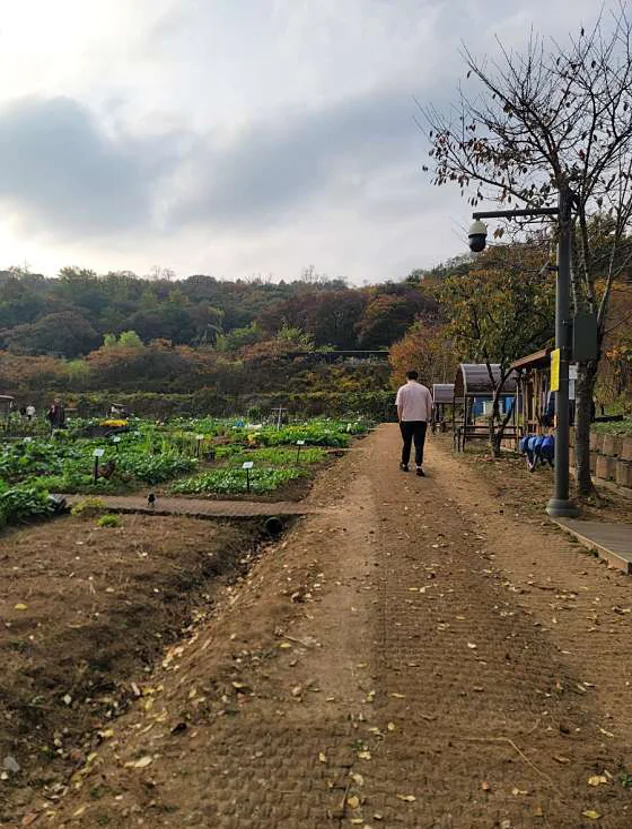 강감찬텃밭