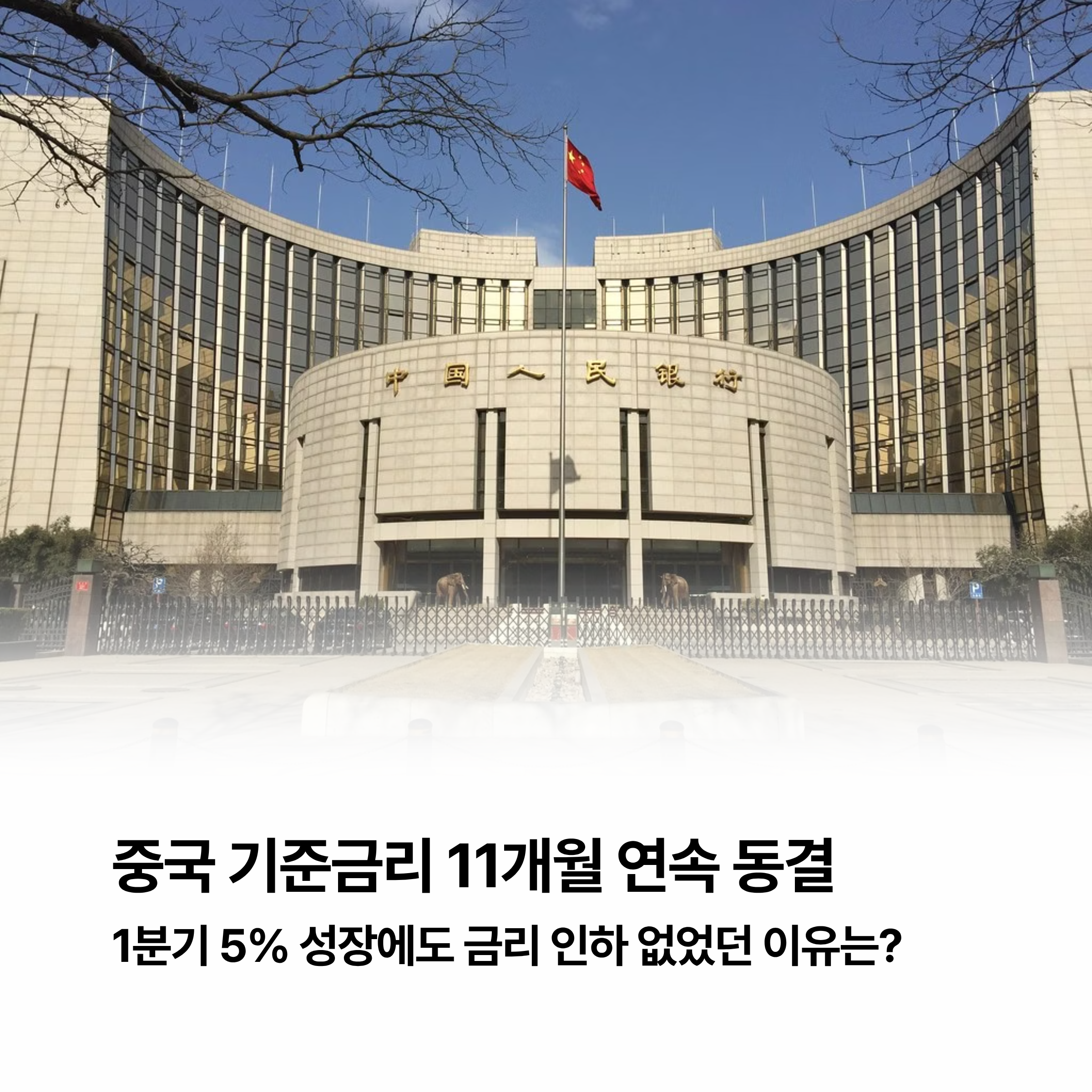 중국 기준금리 11개월 연속 동결