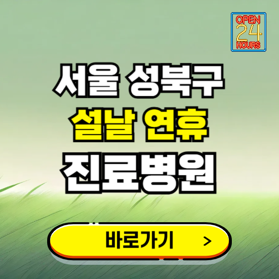 서울 성북구 설날 연휴 진료병원 찾기 ❘ 24시 응급 야간 심야 문여는 병원