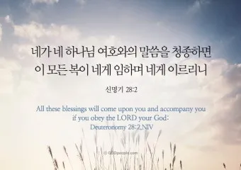 신명기 28장 축복 저주 강해_3