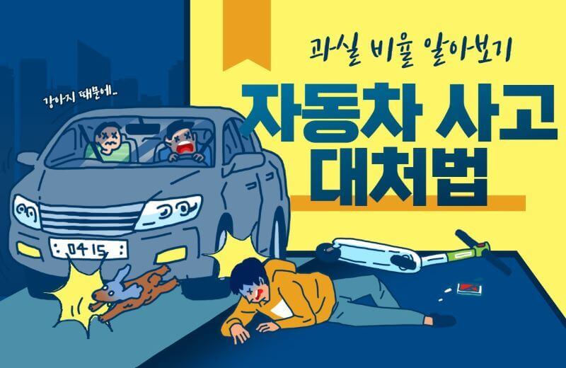자동차 사고 대처법 이미지