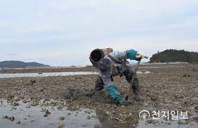 신안군 제 9회 섬낙지 축제 기본일정 및 프로그램 소개