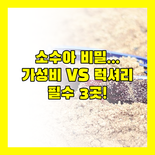 캐리비안 소수아 숨겨진 보석같은 호텔..