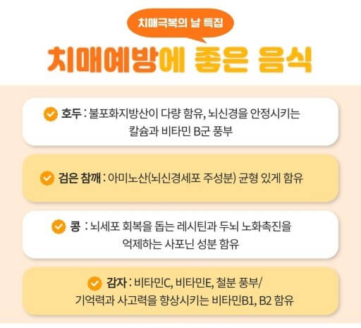 치매에 좋은 음식