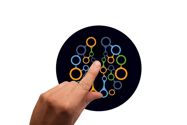 뇌와 시각적 처리: 뇌의 시각 처리 회로와 그 중요성