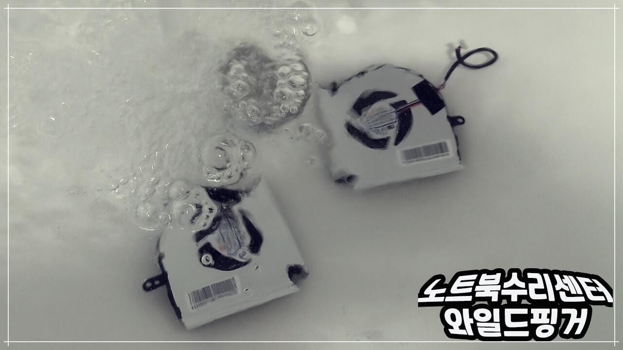 팬 물세척