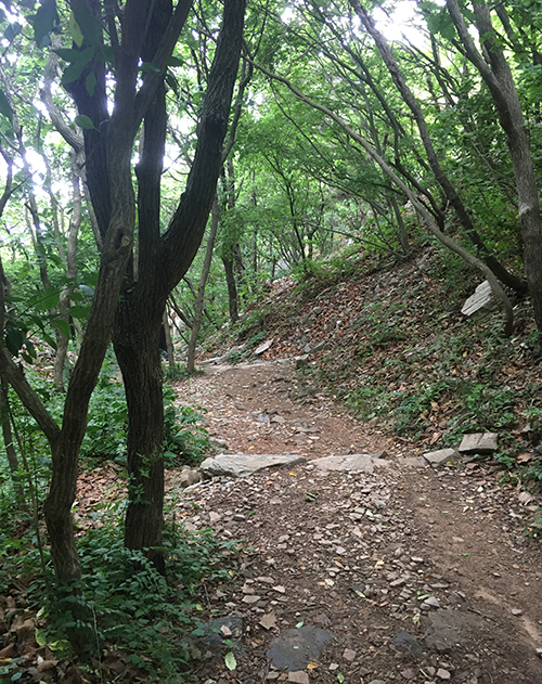 황금산7